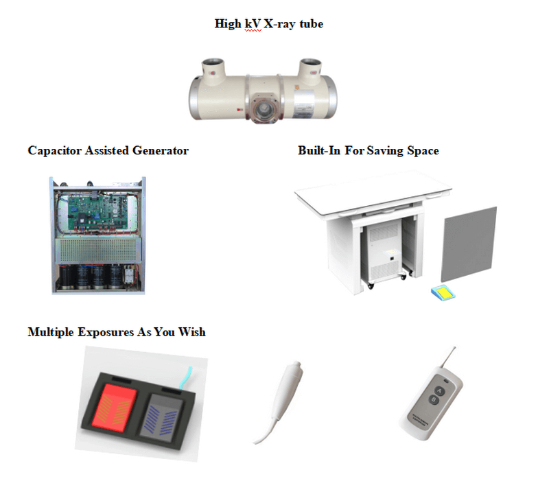 floor mounted digital x ray system for veterinary 6